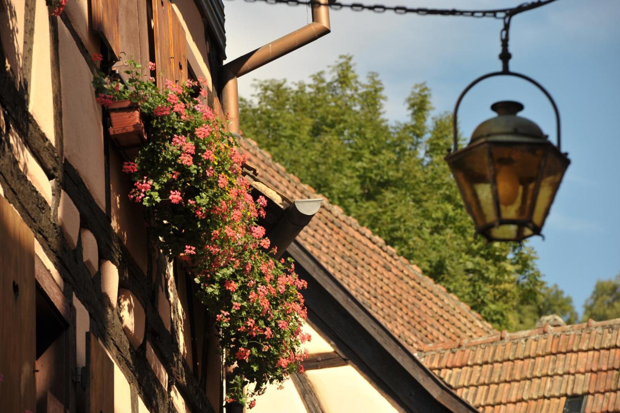 Logis Hotel Restaurant De La Poste Et Spa De Montagne Le Bonhomme Eksteriør bilde